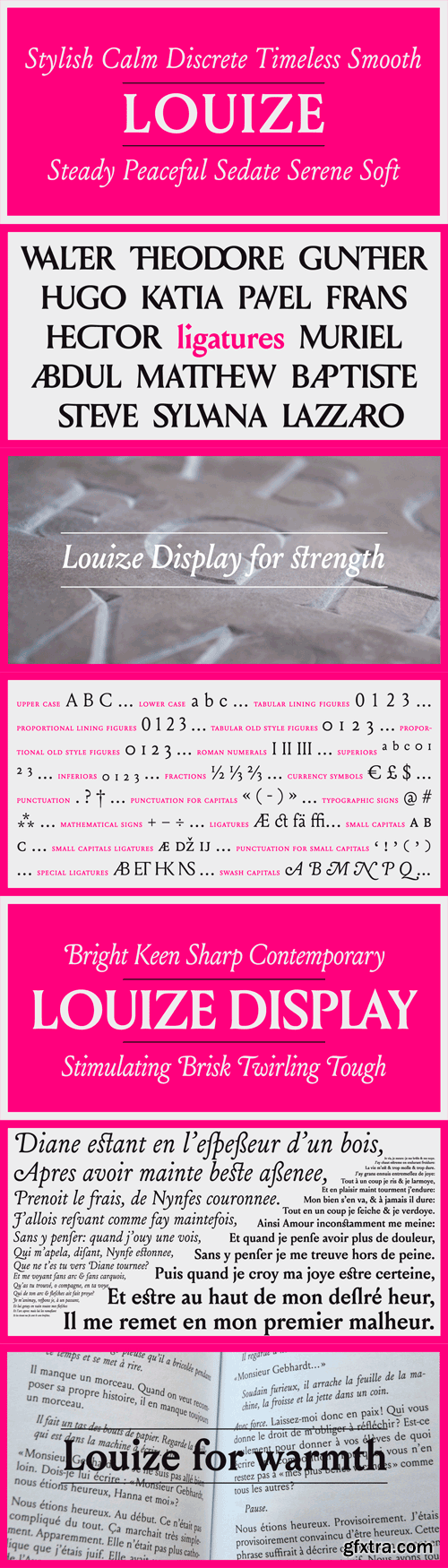 Louize Font Family - 12 Fonts for $430