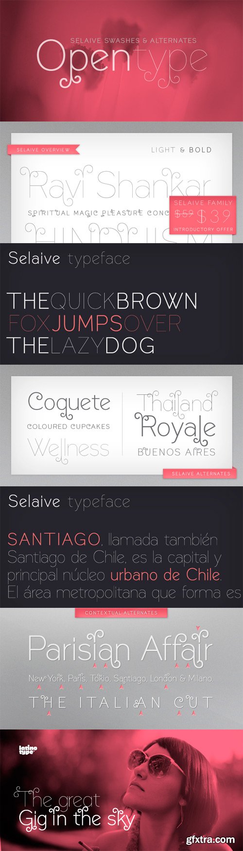 Selaive Font Family - 2 Fonts for $59