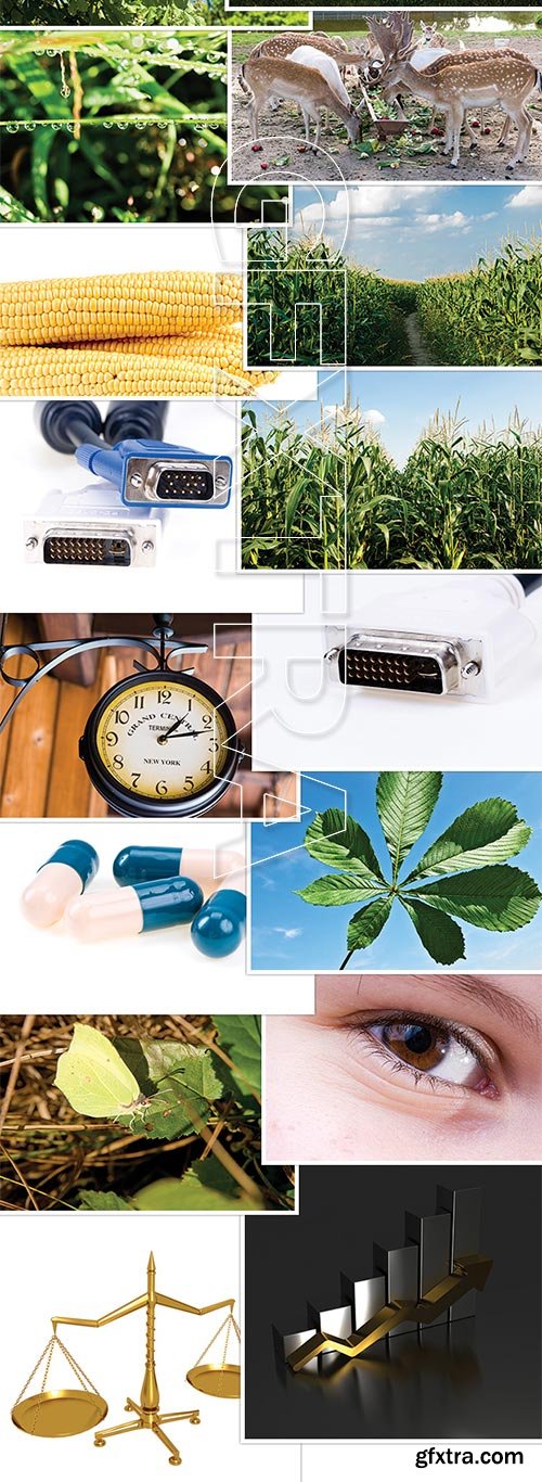 Inkydeals - Over 2,000 Royalty Free Stock Images