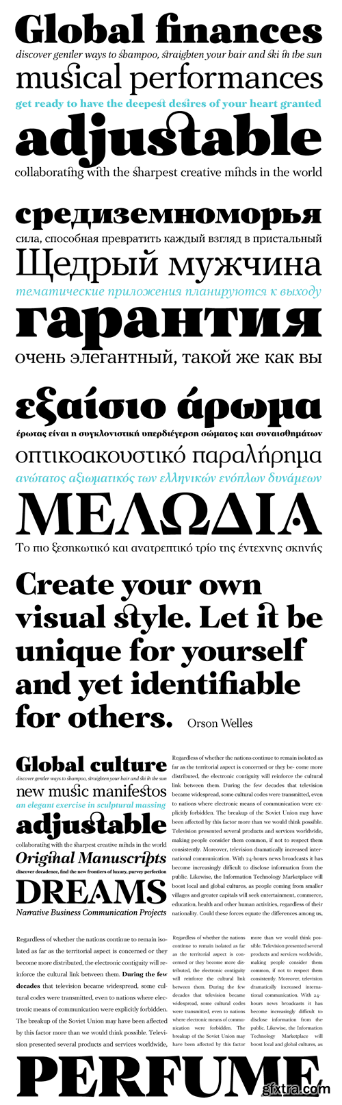 PF Regal Text Pro Font Family - 12 Fonts for &euro;625