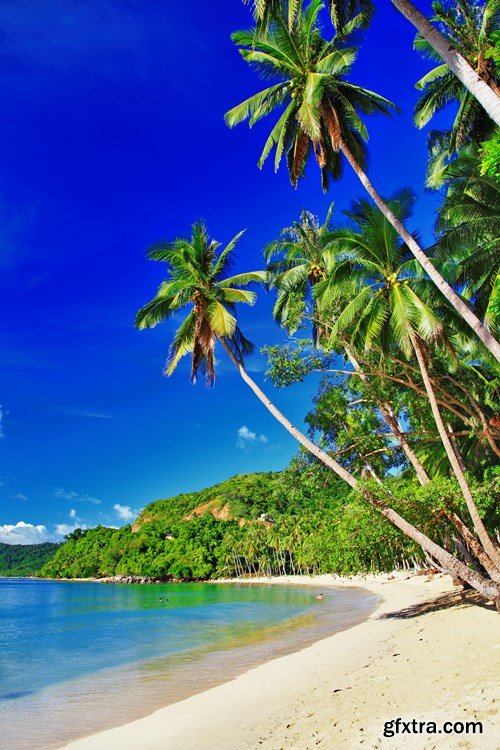 Paradise Vacation - 25 HQ JPEGs Paradise Vacation - 25 HQ JPEGs