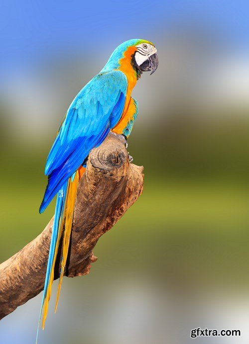 Paradise Vacation - 25 HQ JPEGs Paradise Vacation - 25 HQ JPEGs