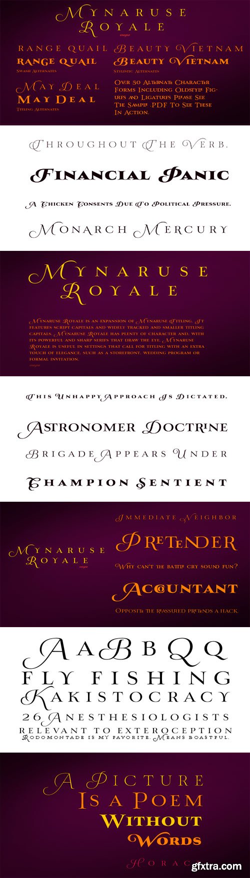 Mynaruse Royale Font Family - 6 Fonts for $72