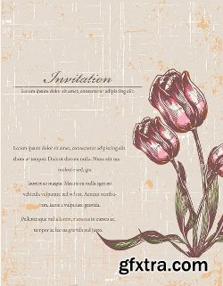 100 Vintage illustrations Vector Pack