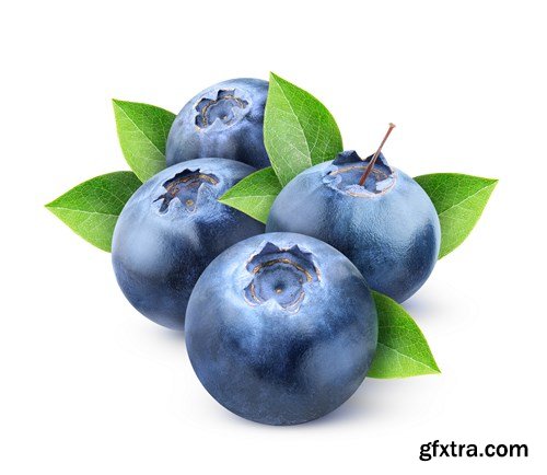 Blueberry Collection, 25xUHQ JPEG