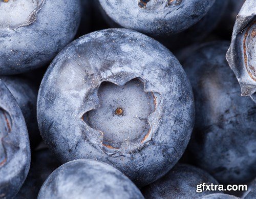 Blueberry Collection, 25xUHQ JPEG