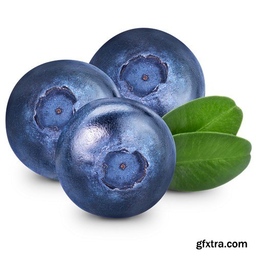 Blueberry Collection, 25xUHQ JPEG