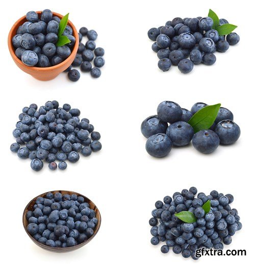 Blueberry Collection, 25xUHQ JPEG