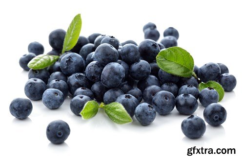 Blueberry Collection, 25xUHQ JPEG