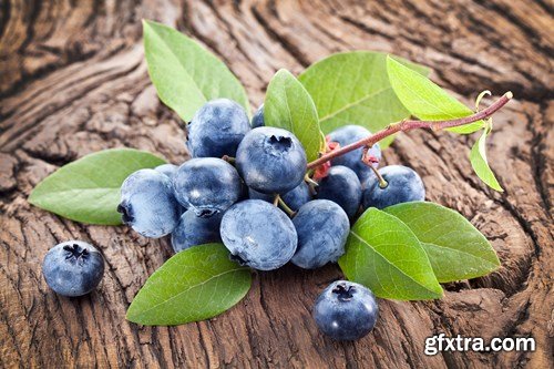 Blueberry Collection, 25xUHQ JPEG