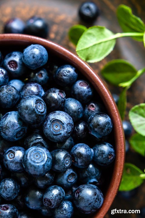 Blueberry Collection, 25xUHQ JPEG