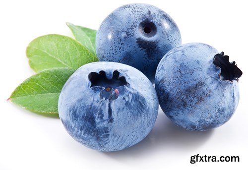 Blueberry Collection, 25xUHQ JPEG