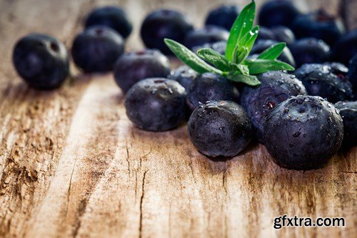 Blueberry Collection, 25xUHQ JPEG