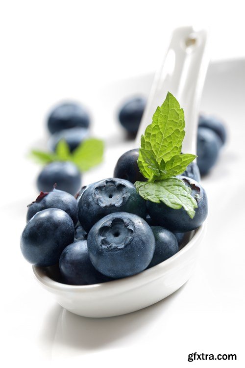 Blueberry Collection, 25xUHQ JPEG