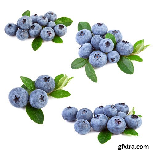 Blueberry Collection, 25xUHQ JPEG