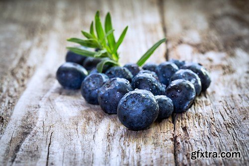 Blueberry Collection, 25xUHQ JPEG