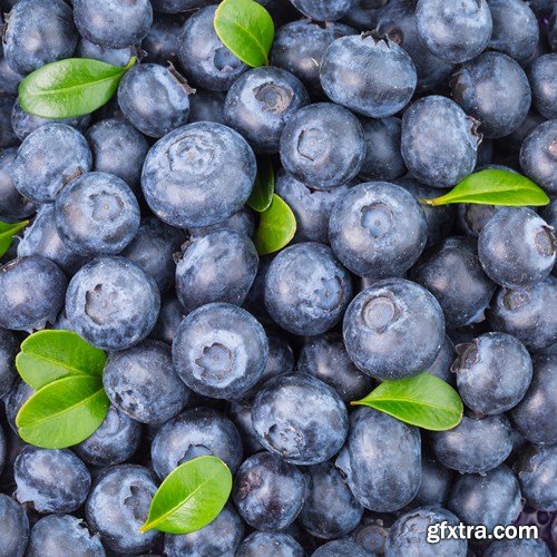 Blueberry Collection, 25xUHQ JPEG
