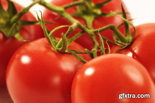 Tomatoes on White Background 25xJPG
