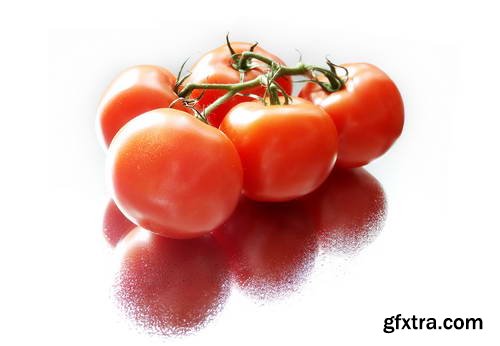 Tomatoes on White Background 25xJPG