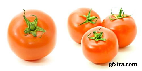 Tomatoes on White Background 25xJPG