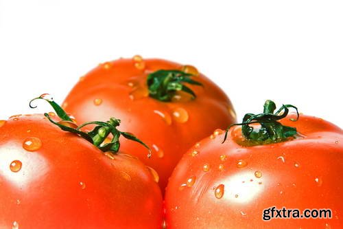 Tomatoes on White Background 25xJPG