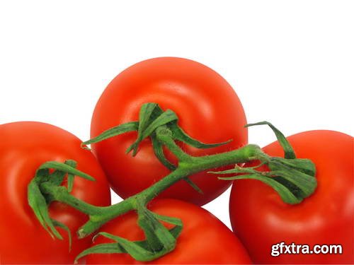 Tomatoes on White Background 25xJPG