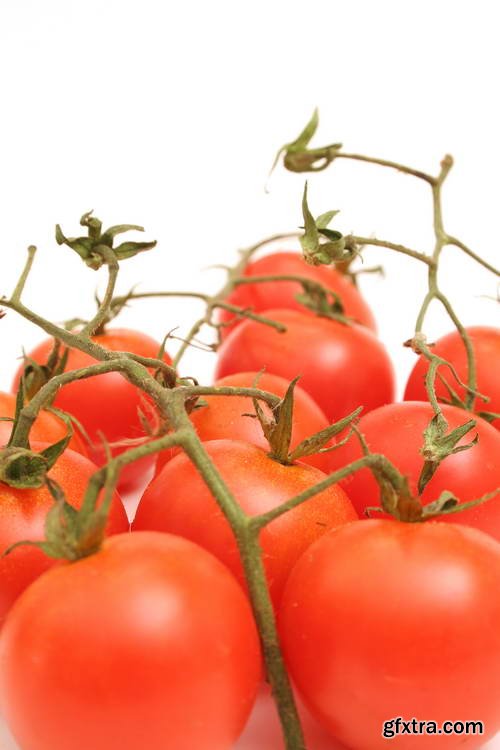 Tomatoes on White Background 25xJPG