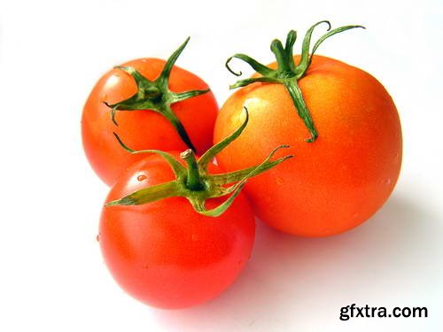 Tomatoes on White Background 25xJPG