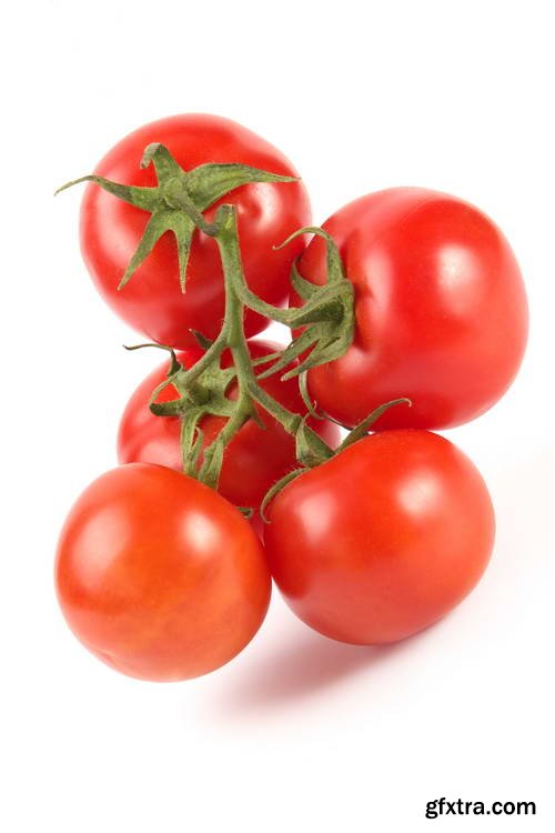 Tomatoes on White Background 25xJPG