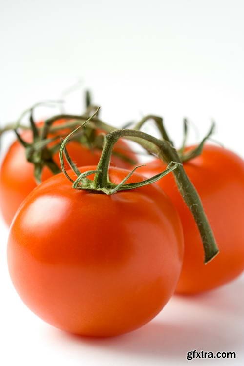Tomatoes on White Background 25xJPG