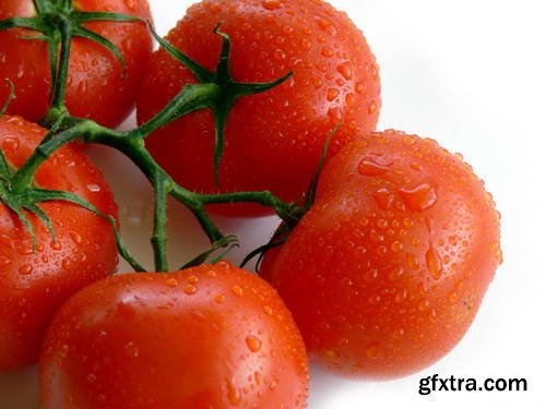 Tomatoes on White Background 25xJPG