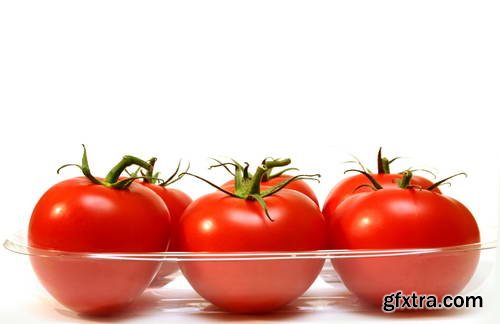 Tomatoes on White Background 25xJPG