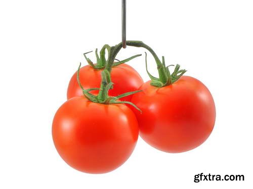 Tomatoes on White Background 25xJPG