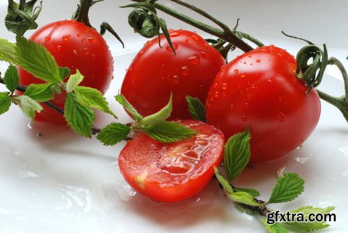 Tomatoes on White Background 25xJPG
