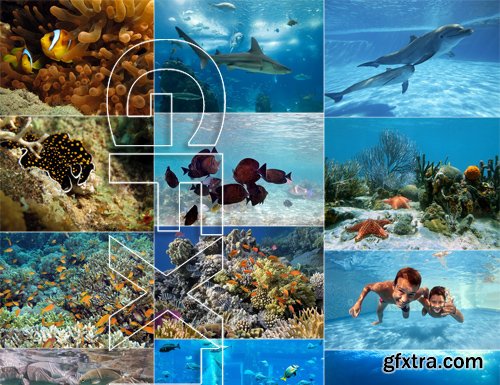 Stock Photos - Underwater World, 25xJPG Stock Photos - Underwater World, 25xJPG