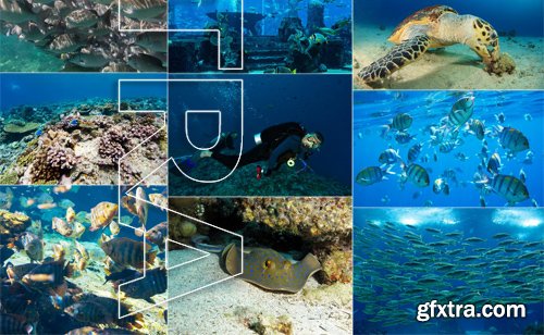 Stock Photos - Underwater World, 25xJPG Stock Photos - Underwater World, 25xJPG