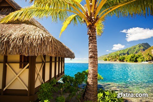 Paradise Vacation 5, 25xUHQ JPEG Paradise Vacation 5, 25xUHQ JPEG