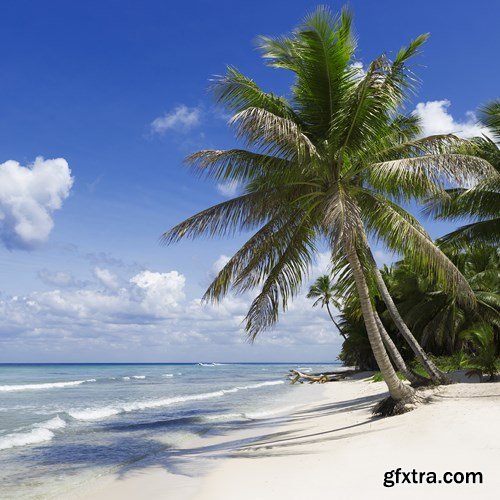 Paradise Vacation 5, 25xUHQ JPEG Paradise Vacation 5, 25xUHQ JPEG