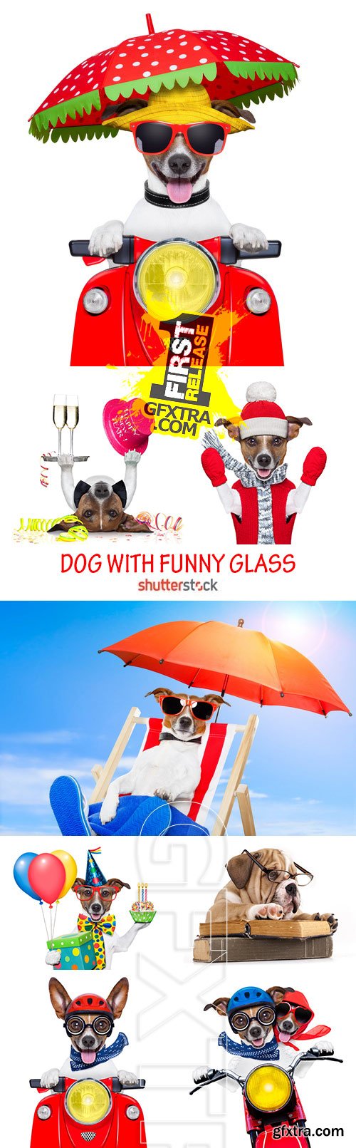 Amazing SS - Dog with funny glasses, 25xJPG Amazing SS - Dog with funny glasses, 25xJPG