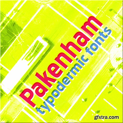 Pakenham Font Family - 32 Font 960$