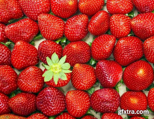 Stock Photos - Strawberry 2, 25xJPG Stock Photos - Strawberry 2, 25xJPG