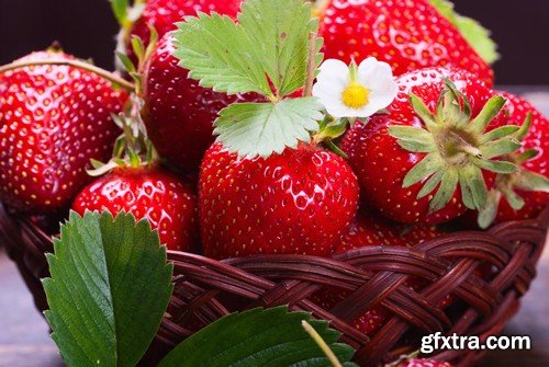 Stock Photos - Strawberry 2, 25xJPG Stock Photos - Strawberry 2, 25xJPG