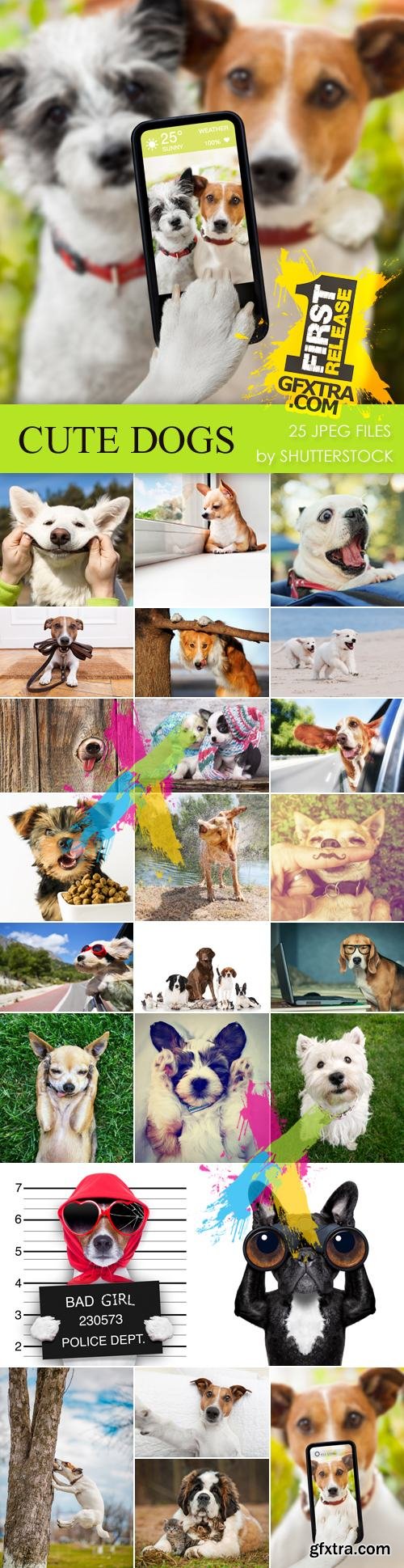 Stock Photo - Cute Dogs