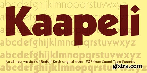 Kaapeli Font Family 6 Fonts 180$