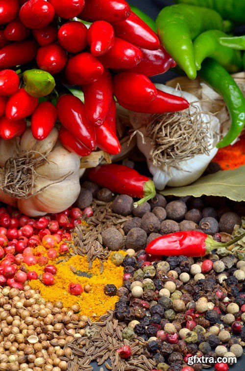 Spices Collection, 25xUHQ JPEG Spices Collection, 25xUHQ JPEG