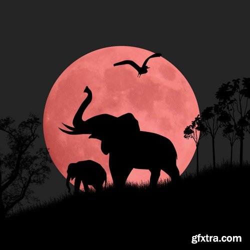 Africa Sign &amp; Symbols - 25 Vector