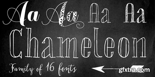 Chameleon Font Family - 16 Fonts $480