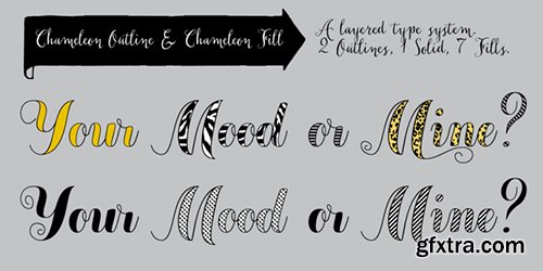 Chameleon Font Family - 16 Fonts $480