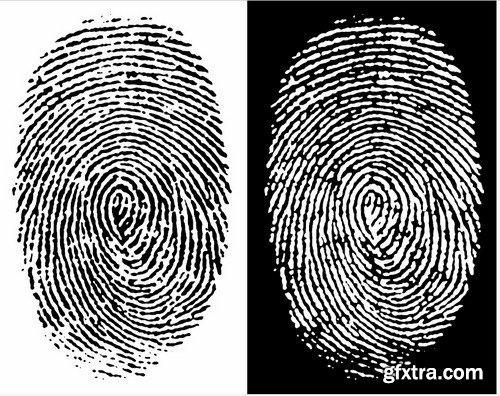 Fingerprint - 25 Vector Fingerprint - 25 Vector