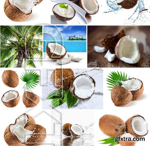Stock Photos - Coconuts, 25xJPG